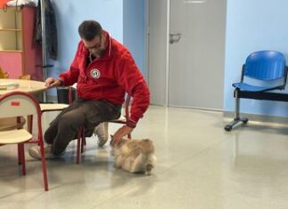 Pet therapy, Colombo (Frida’s Friends Onlus): “Progetto nato per aiutare persone con disabilità”
