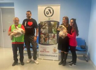 Piperno (Royal Canin Italia): “Cani e gatti migliorano il mondo per i meno fortunati”