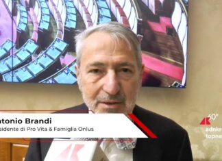 Pro Vita & Famiglia Onlus, Brandi: ‘Candidati europee si battano per società più giusta’