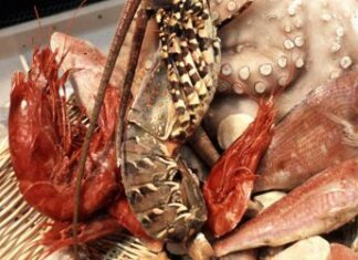 Ruba 15mila chili di crostacei e pesce surgelato, arrestato 60enne