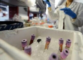 Sanità, 3 italiani all’estero celebrati dal Time. Ecco le loro storie