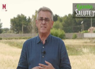 Scienza & Salute: ‘Camomilla, un cuore giallo e rasserenante’