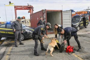 Guardia di Finanza cani antidroga