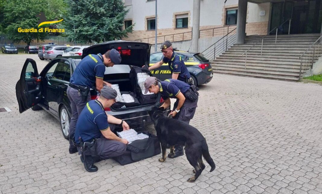 Un controllo della Guardia di Finanza con i cani antidroga