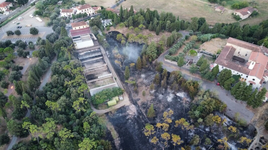 L'incendio al poligono di Galceti visto dall'alto (Foto Fb Anps Odv Prato)