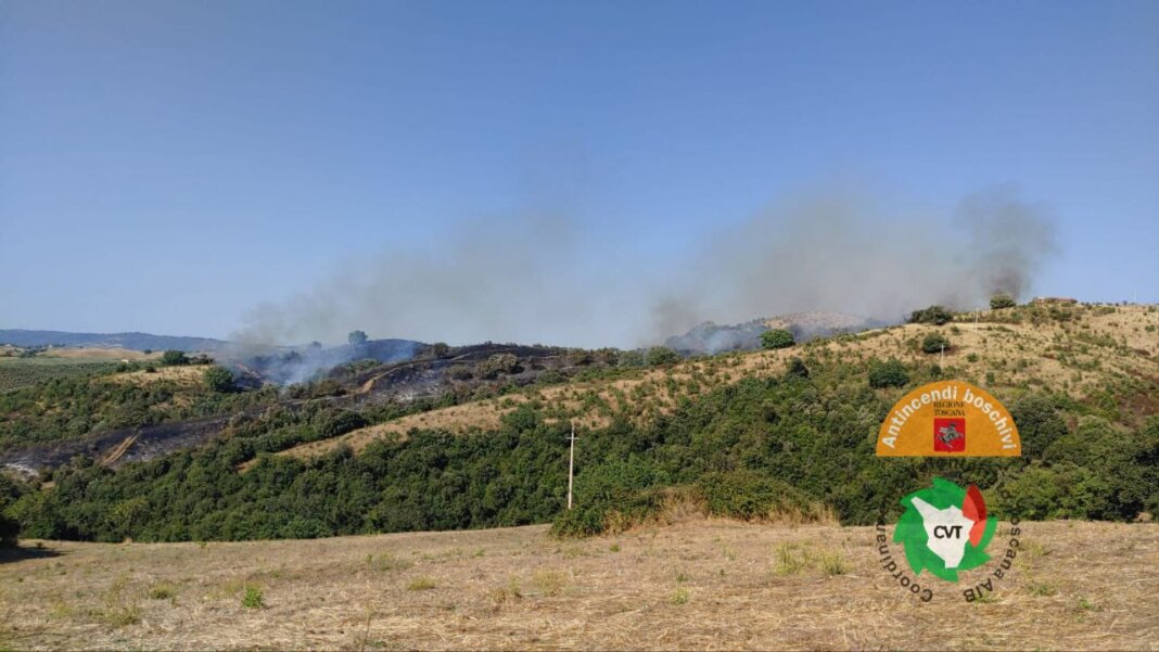 Incendio fra Campagnatico e Scansano