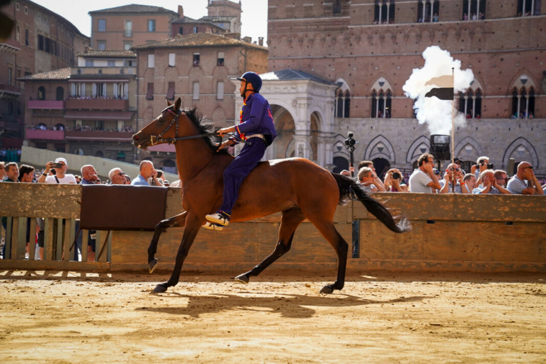 Nicchio Prova palio di Siena per il 2 luglio 2024