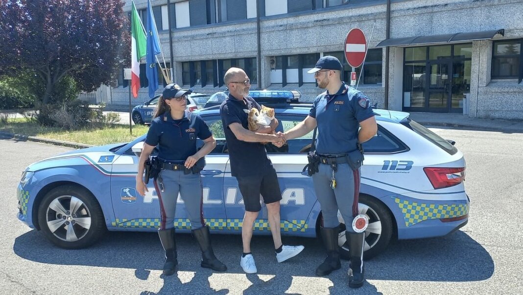 salvataggio gatto polizia stradale