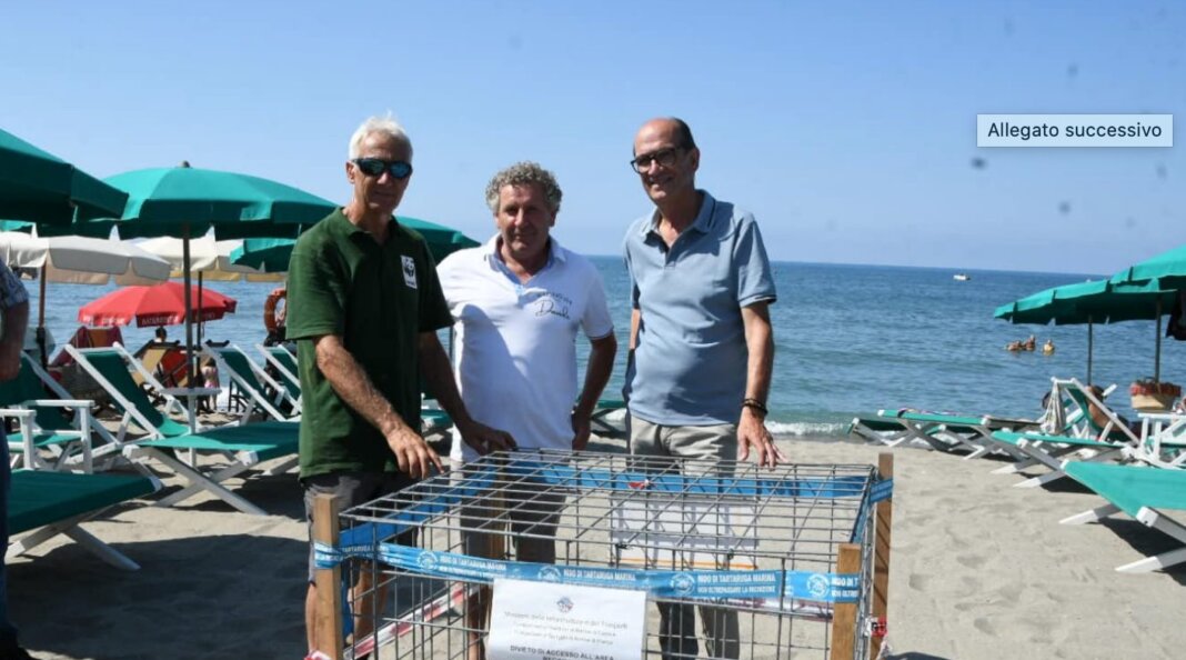 mare caretta caretta Ridolfi Consorzio toscana nord