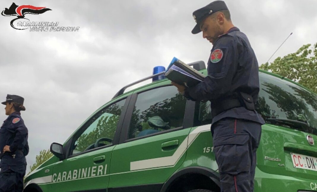 carabinieri forestali