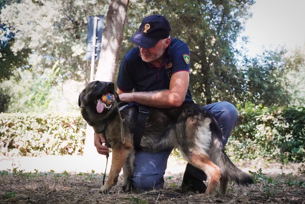 Il cane Alaska con il suo conduttore, l'ispettore Yuri