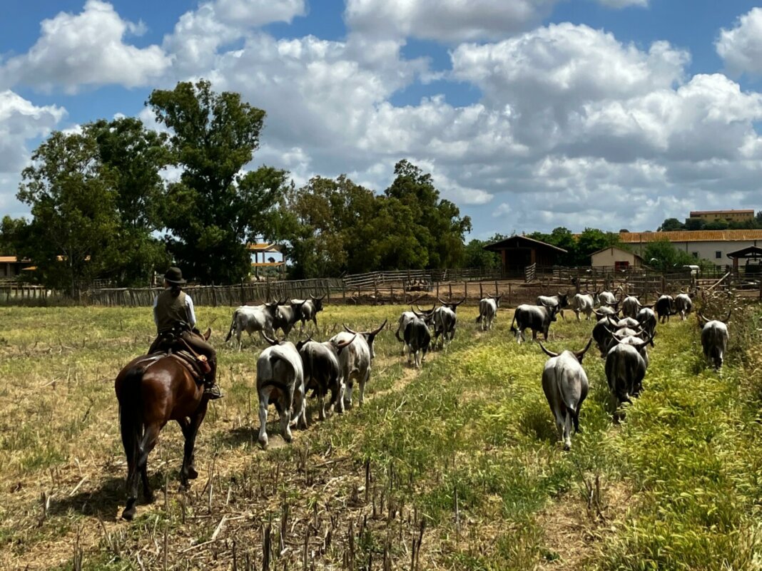 allevamenti in Toscana