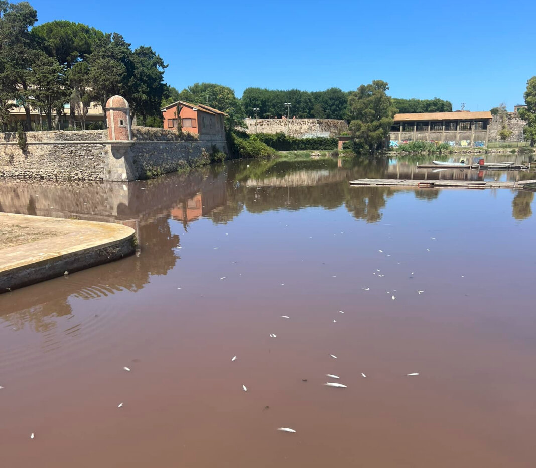 Disastro laguna Orbetello, Giani: 