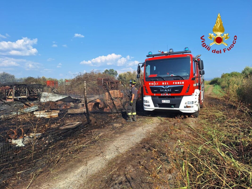 Incendio di sterpaglie si estende ad alberi e orti e minaccia le case (foto vigili del fuoco)