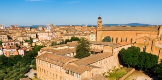 Fibrosi cistica, all’Università di Siena 210mila euro per la ricerca contro i batteri resistenti