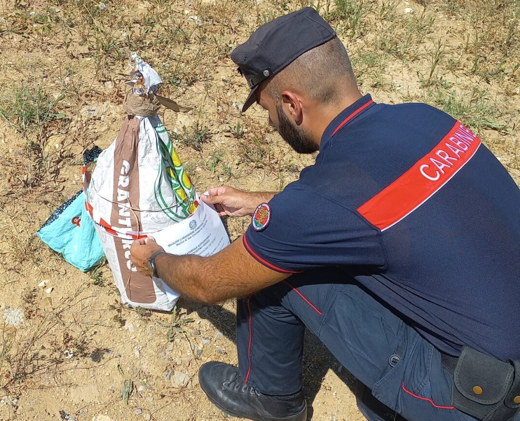 I carabinieri forestali in azione durante l'intervento in via di Giogoli (foto carabinieri)