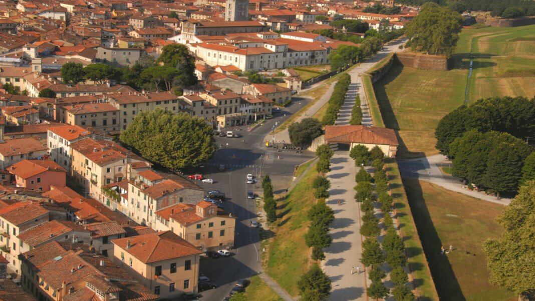 A Lucca un sospetto caso di Chikungunya contratta in un paese tropicale 