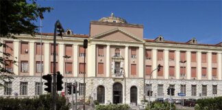 Due casi di virus Chikungunya in Toscana a Livorno e Massa: scattano le disinfestazioni