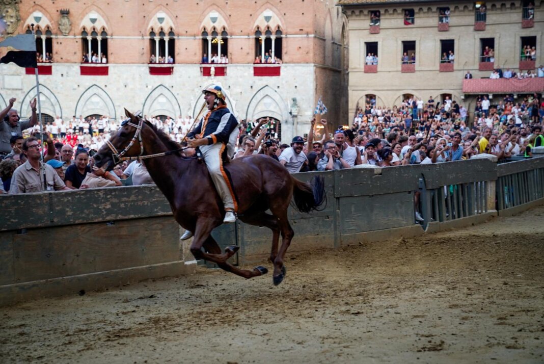 Dino Pes su Benitos ha vinto il Palio dell'Assunta 2024 per la Contrada della Lupa (foto Comune di Siena)