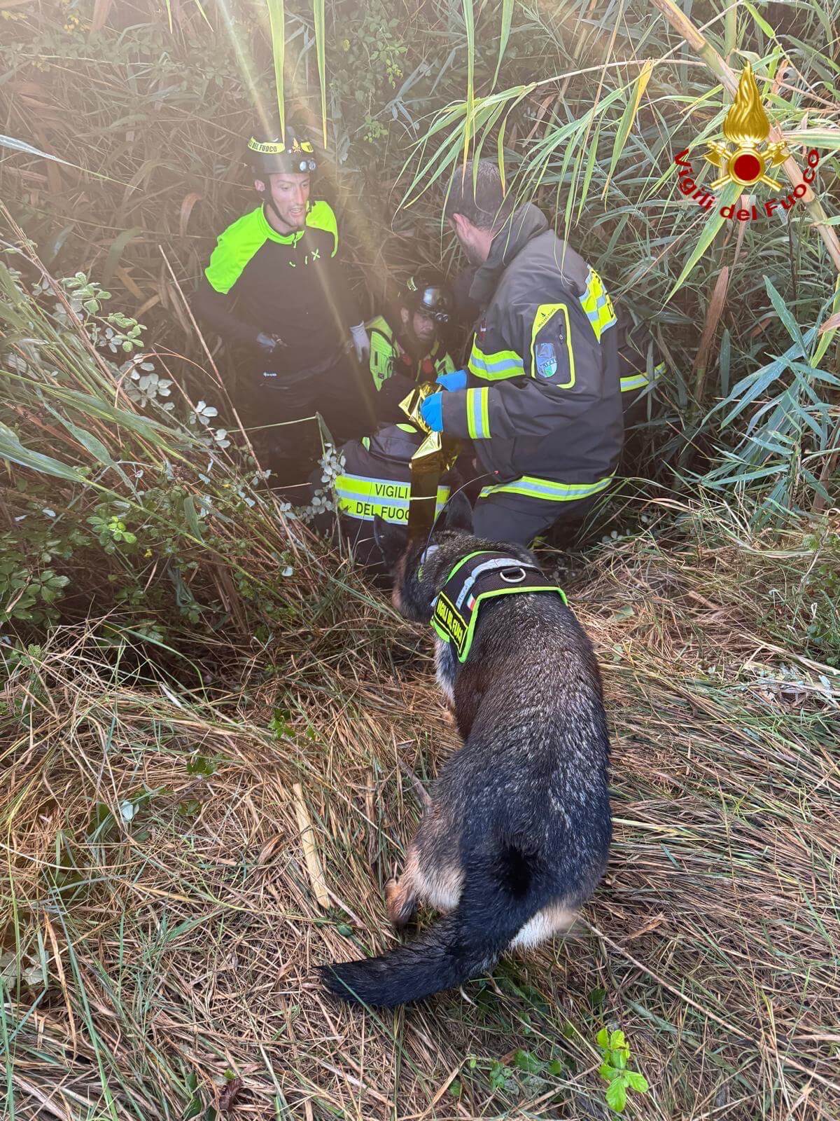 Notte di ricerche per un ottantenne disperso a Grosseto: ritrovato dai vigili del fuoco