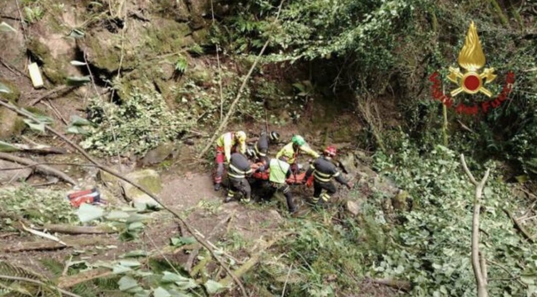 Cade e si ferisce alla testa nel bosco: recuperato da Pegaso