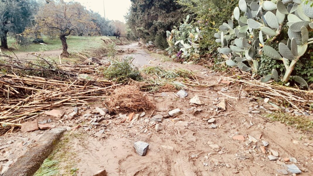 Allerta meteo in Toscana: pioggia, vento e rischio idrogeologico