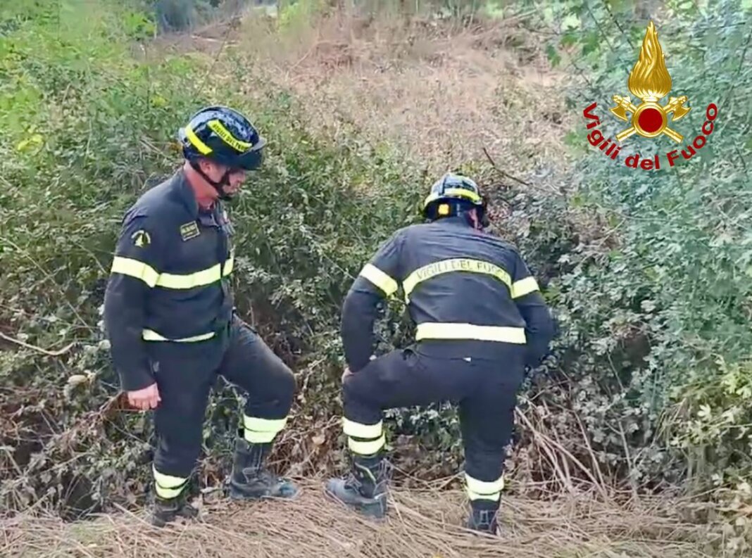 Neonato disperso dopo l'alluvione: decimo giorno di ricerche