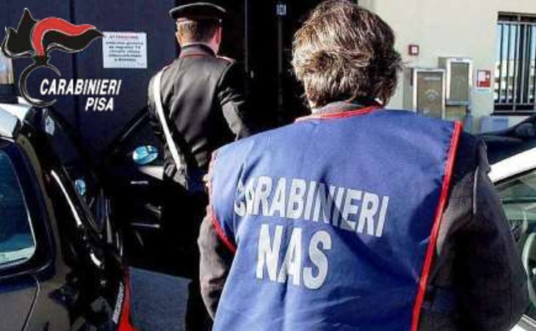 Blitz dei Nas di Livorno: nei guai un medico assistente sociale assenteista