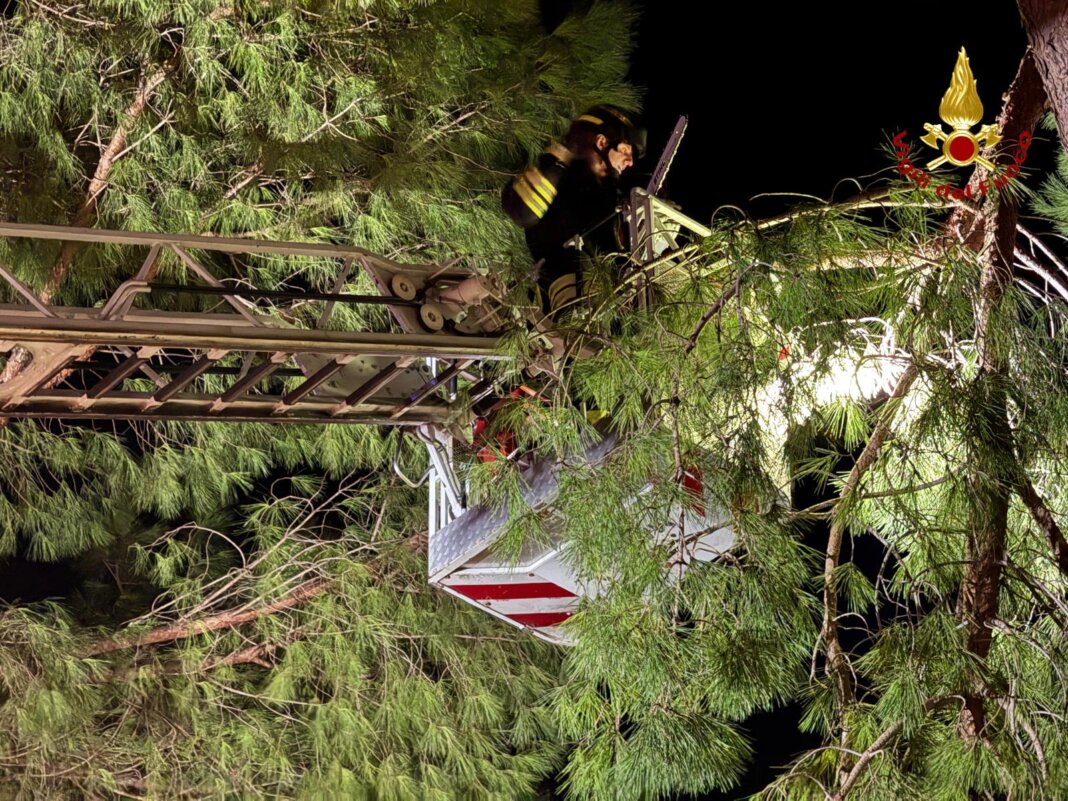 Tanti danni per il forte vento a Santo Stefano in provincia di Grosseto