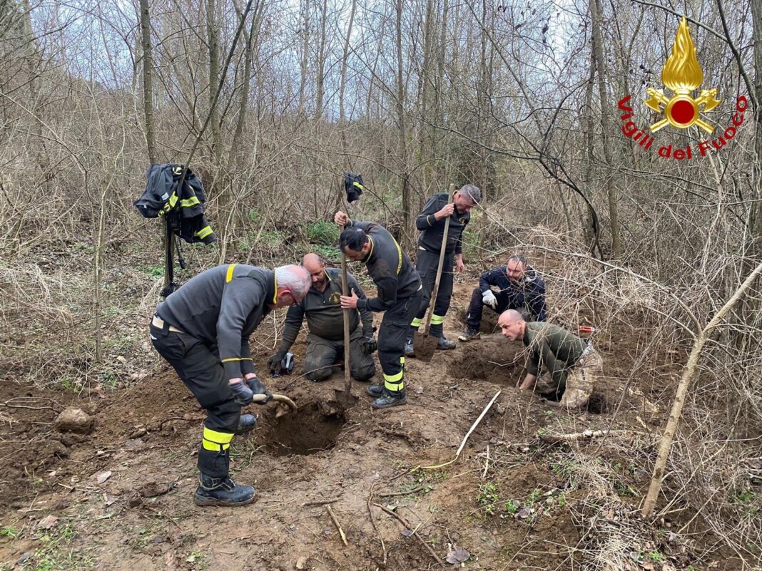 Cane da caccia cade in una buca profonda: salvato dai vigili del fuoco