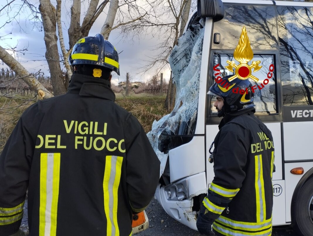 Albero di alto fusto cade su uno scuolabus: tragedia sfiorata a Rignano