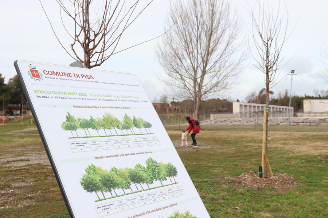 A Pisa nasce il 'Bosco del mare': cento alberi per i nuovi nati