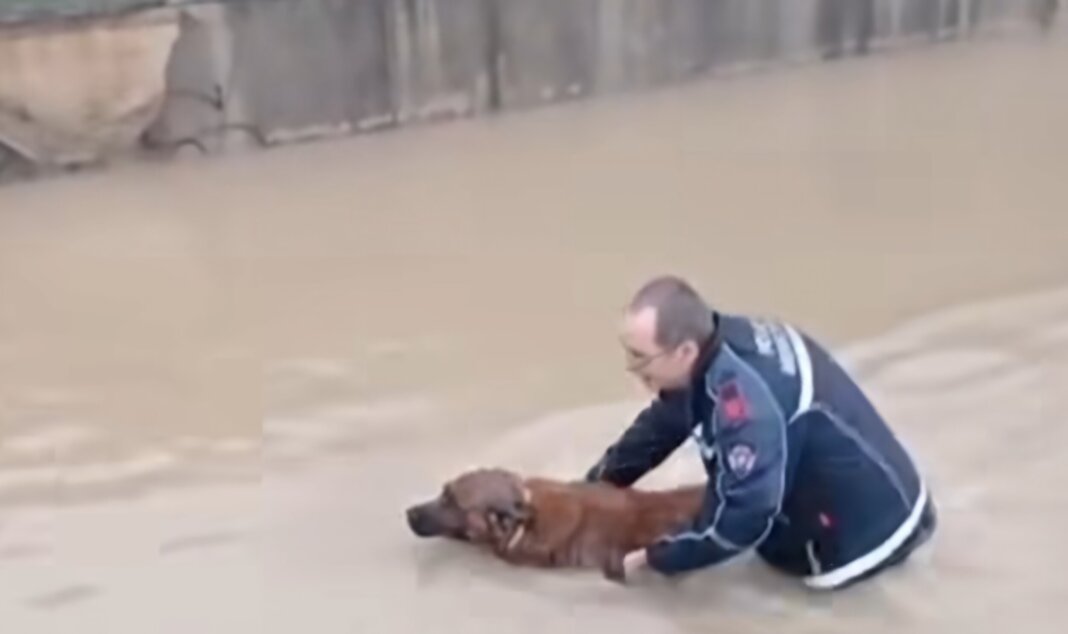 Maltempo in Toscana: fiumi in piena. Frana a San Miniato. A Cecina salvati anziano col cane nel sottopasso allagato