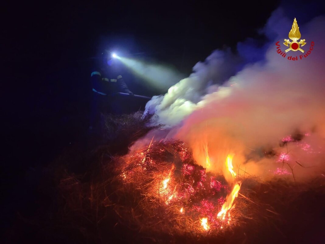 Fiamme in un campo in Maremma: vigili del fuoco e volontari al lavoro anche di notte