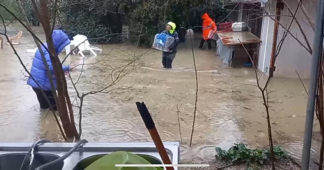 Allerta rossa Toscana: a Empoli Orme strappa e allaga Ponzano. Gattile sott'acqua: micini salvati last minute