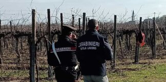 Caporalato in Maremma, quattro indagati: interdetta una attività imprenditoriale