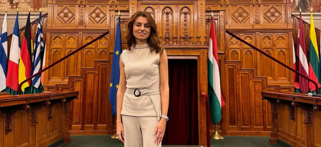Susanna Ceccardi denuncia minacce social: 