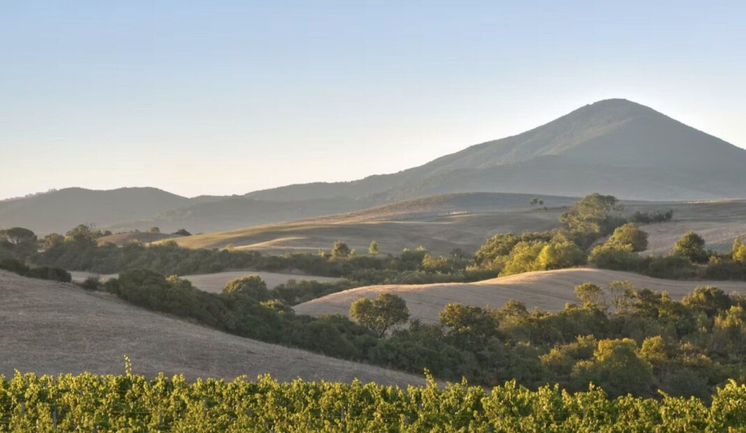 Nella Tenuta Marchesi Ginori Lisci un nuovo impianto di produzione di biometano e bio-Co2