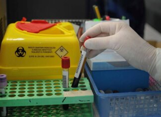 Tumori, nuovo test del sangue ‘low cost’ promette di scoprire diversi tipi di cancro