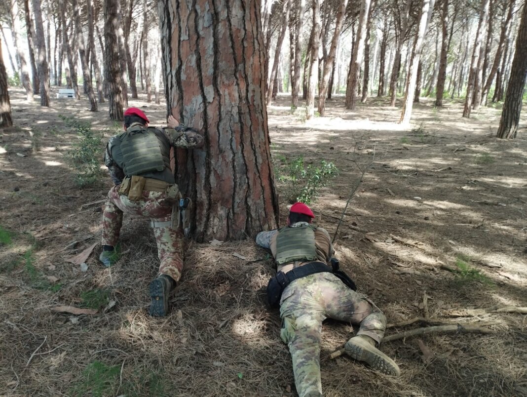 Sei arresti nell'operazione antidroga dei carabinieri nei boschi della Maremma