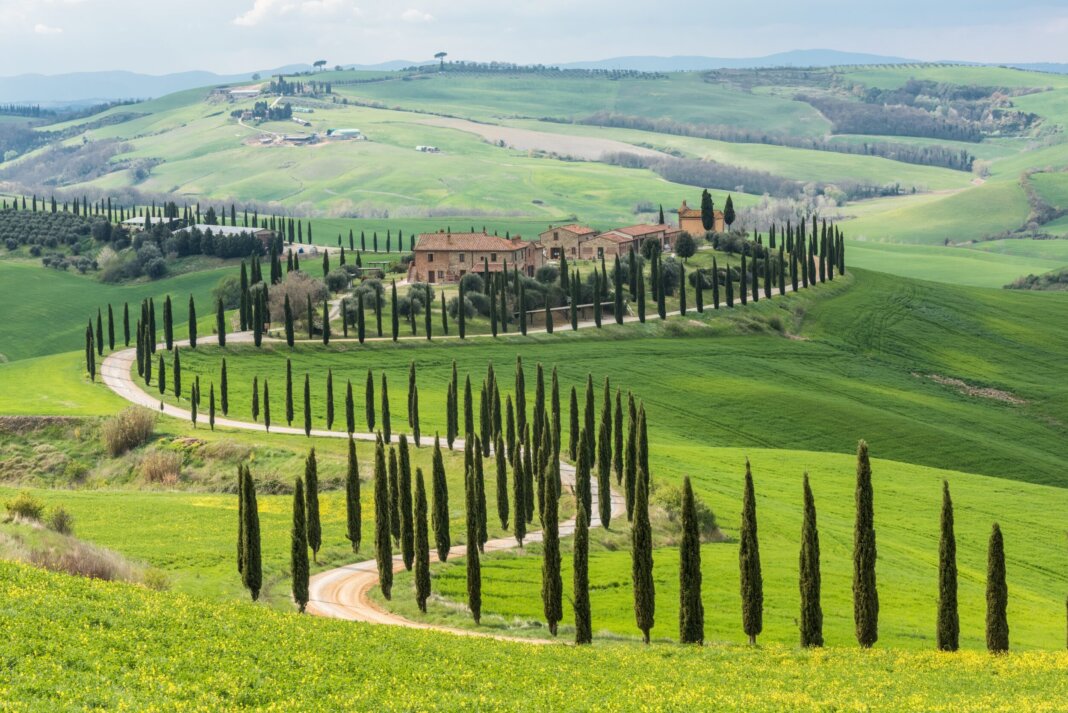 Colli senesi