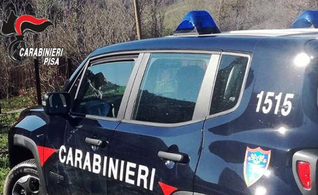 Giro di vite contro gli illeciti nei boschi: sei multe dai carabinieri forestali