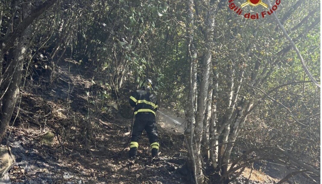 Macchia mediterranea e bosco in fiamme in tre episodi fra Scansano e Civitella Paganico