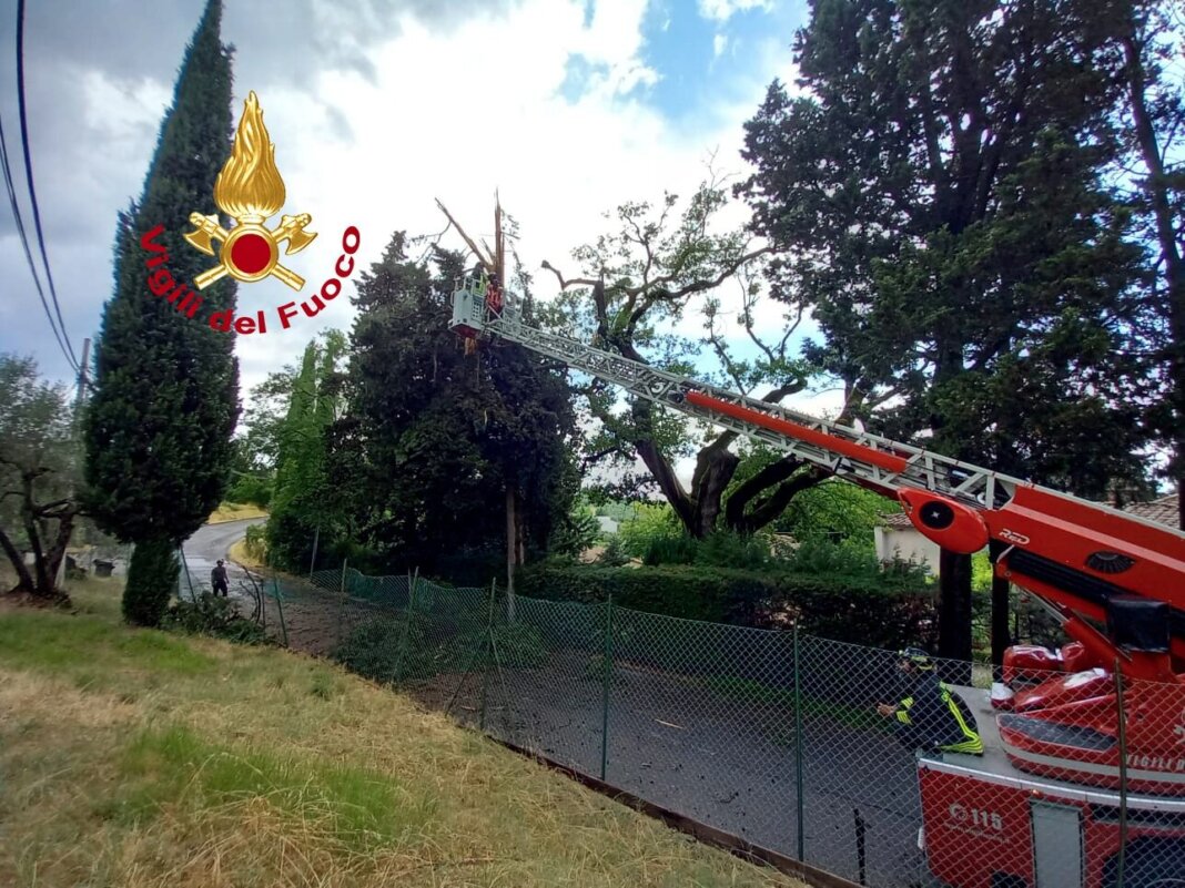 Maltempo, alberi caduti nel Fiorentino. Prolungata l'allerta meteo