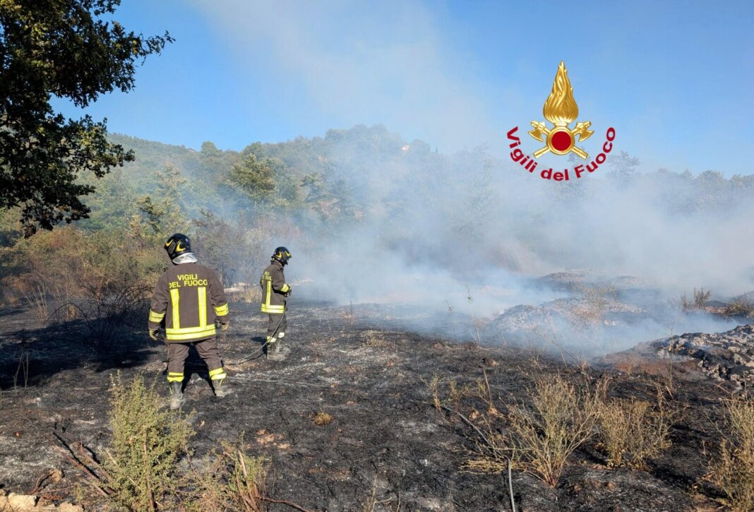 Fiamme di bosco e vegetazione a Radicofani: task force per spegnere l'incendio
