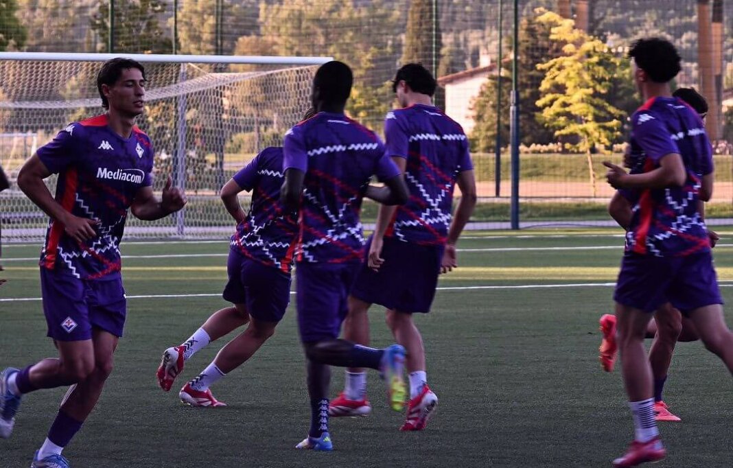 Fiorentina Primavera