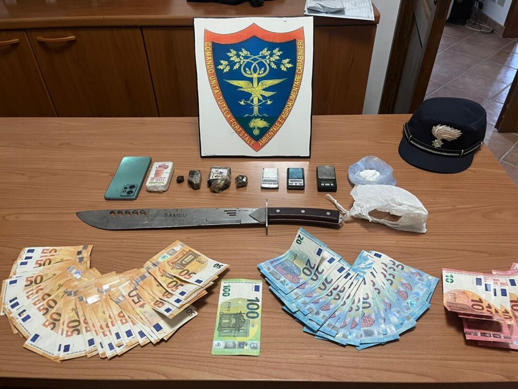 Smantellato un bivacco per lo spaccio nei boschi di Rapolano