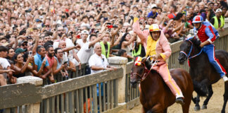 L’assessora Manetti: “La proposta di legge Brambilla mette a rischio il Palio di Siena”