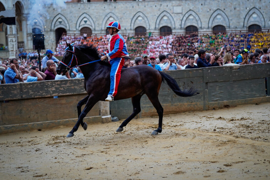 Alla contrada della Pantera la prima prova del Palio dell'Assunta