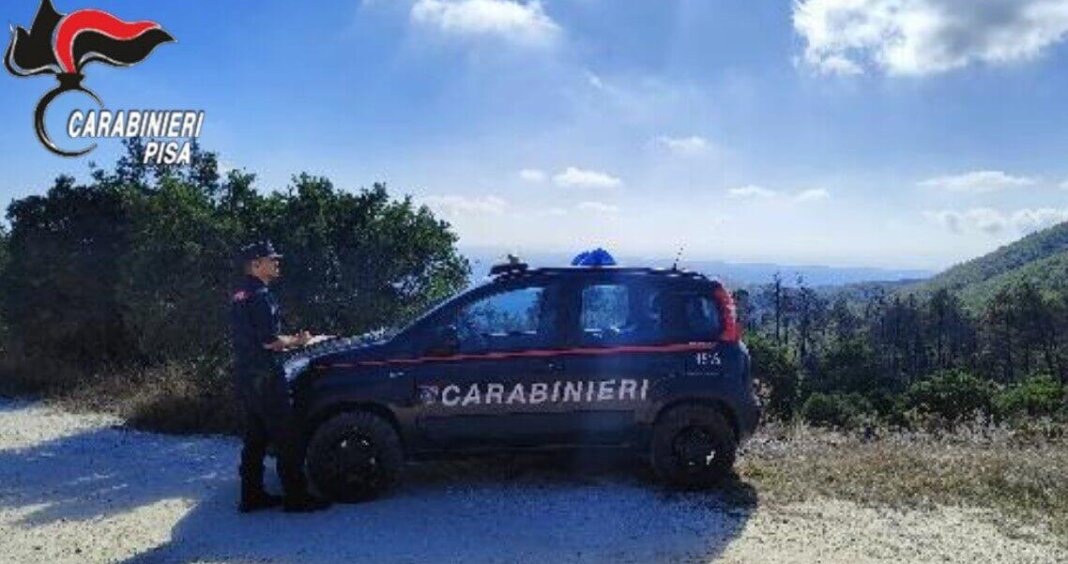 Sequestrato un canile abusivo, nei guai la donna che lo gestiva